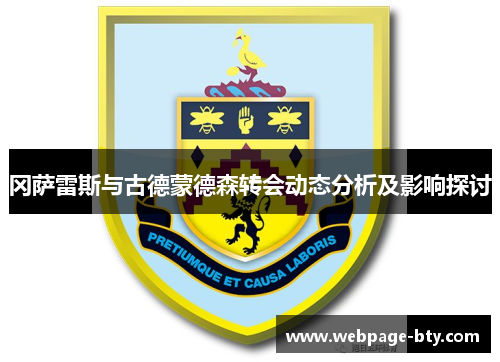 冈萨雷斯与古德蒙德森转会动态分析及影响探讨